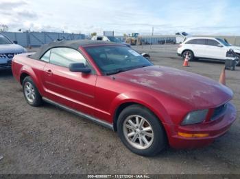  Salvage Ford Mustang