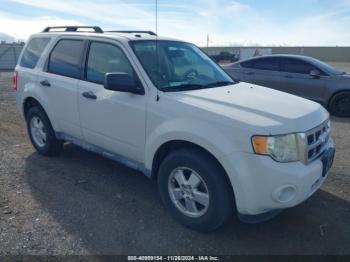  Salvage Ford Escape