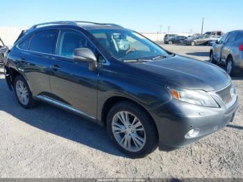  Salvage Lexus RX