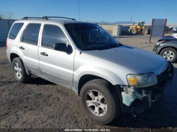  Salvage Ford Escape